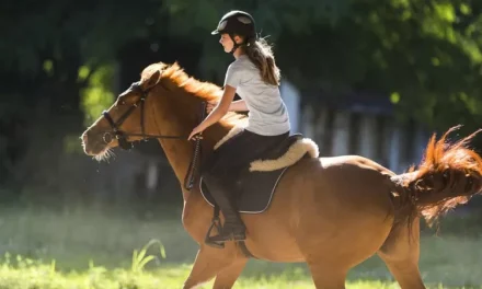 Berkuda: Aktivitas Sehat Kini Menjadi Pilihan Lifestyle Anak Muda