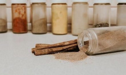 Tanaman Subur: Dengan Bumbu Penyedap Rasa Alami