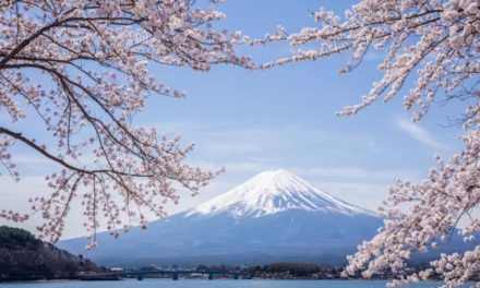 Bikin Geger! Bocah 7 Tahun Di Tinggal Ayah Sendiri Di Gunung Fuji