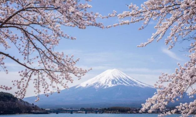 Bikin Geger! Bocah 7 Tahun Di Tinggal Ayah Sendiri Di Gunung Fuji