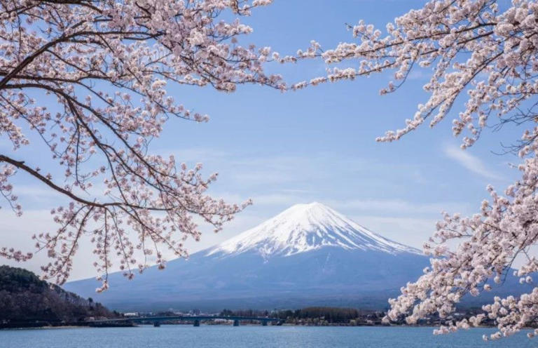 Bikin Geger! Bocah 7 Tahun Di Tinggal Ayah Sendiri Di Gunung Fuji