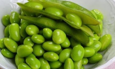 Jantung Lebih Terjaga! Kenali Manfaat Edamame Untuk Tubuh
